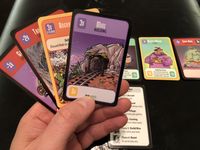 5137983 Villagers & Villains