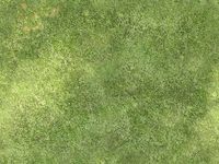 1751559 Castellan (Edizione Inglese)