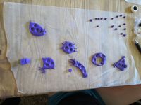 1409831 Primordial Soup