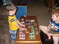 801775 UWO (Unidentified Walking Objects)