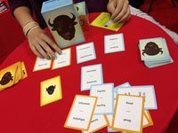 1749611 Buffalo: The Name Dropping Game