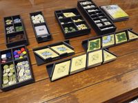 6286083 Lost Valley: The Yukon Goldrush 1896