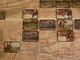 1757024 Summoner Wars: Phoenix Elves - Second Summoner