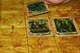 2393831 Lords of War:  Elves versus Lizardmen
