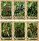 2477688 Lords of War:  Elves versus Lizardmen