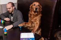 1968040 Bicchieri Sprint (Seconda Edizione)