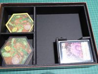 2466106 March of the Ants 