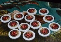 2355652 Claustrophobia: Furor Sanguinis 