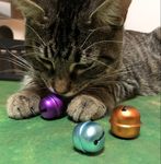 5895100 BELLZ! (PRIMA EDIZIONE)