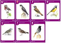 2565356 Birds of a Feather 