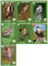2796160 Birds of a Feather 