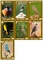 2796165 Birds of a Feather 