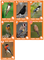 2796166 Birds of a Feather 