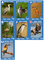 2796167 Birds of a Feather 