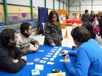 1494999 Sitting Ducks Gallery