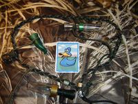 168673 Sitting Ducks Gallery