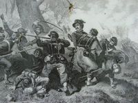 2389289 Ball's Bluff Ziplock