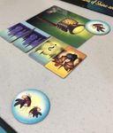 4770771 Flashlights &amp; Fireflies 