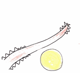 3711489 Una Storia di Pirati