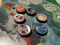 2457453 Schäferstündchen