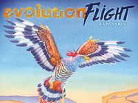 2482802 Evolution: Flight 