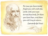 2498018 Evolution: Flight 