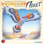 3784078 Evolution: Flight 