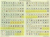 176056 Rebels &amp; Redcoats: Volume II