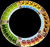 3511518 Kingdom Builder: Marshlands 