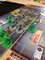 3217306 Teenage Mutant Ninja Turtles: Shadows of the Past 