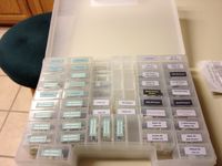 1488136 Wacht Am Rhein