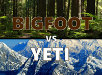3255997 Bigfoot vs. Yeti