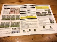 4003573 B-17 Flying Fortress Leader