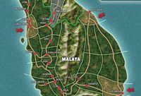 3048781 Lion of Malaya