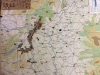 3377907 Hungarian Rhapsody