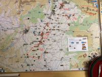 3377909 Hungarian Rhapsody