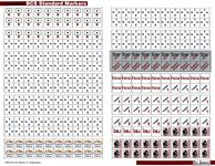 3509012 Baptism By Fire: The Battle of Kasserine