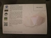 3336299 Steal This Game