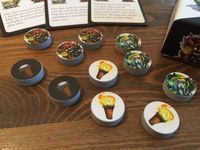 3543815 Light &amp; Dark