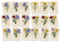 4853742 The Little Flower Shop