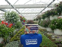 4853751 The Little Flower Shop