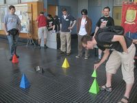 302626 Treehouse (Rainbow Edition)