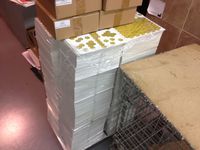 4295803 Normandy: The Beginning of the End