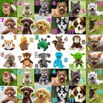 6418881 Pecking Order