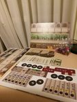 3816158 Lorenzo il Magnifico: Houses of Renaissance