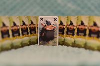 4034408 Bye-Bye Black Sheep