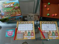 3900669 Harvest Dice