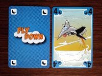 4069709 Fly Down