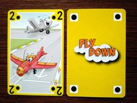 4069713 Fly Down