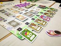 4857619 Dice Age: The Hunt